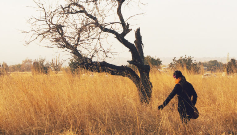 My low waste journey